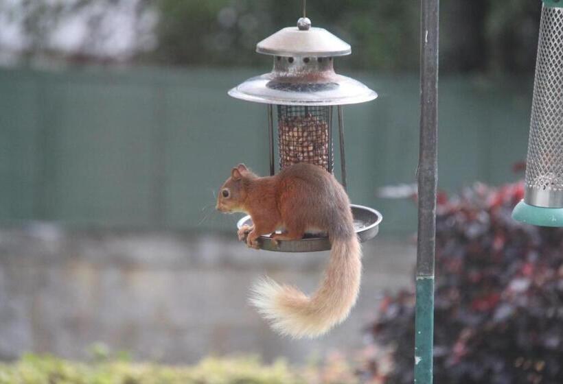 민박 Cranford Guest House