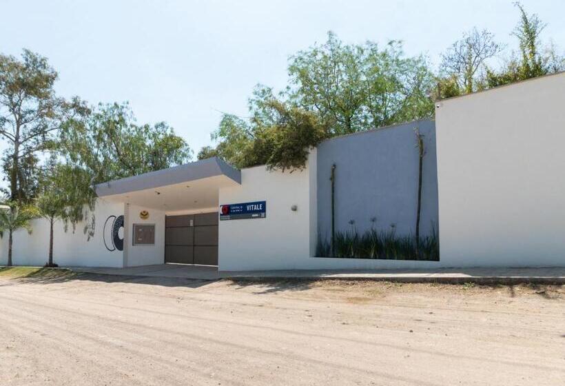 Capital O Hotel Vitale