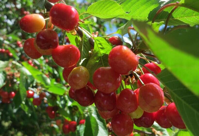 호텔 Casa Qta. Sta. Cruz Régua