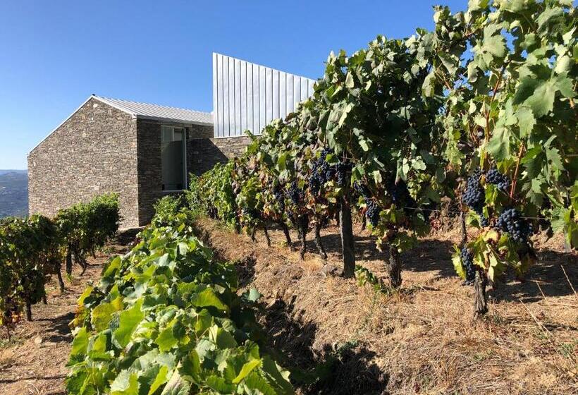 호텔 Casa Qta. Sta. Cruz Régua