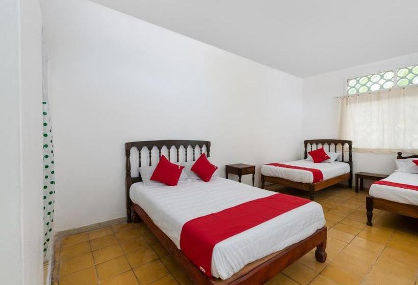 فندق Oyo  Las Palmas Cuyutlan