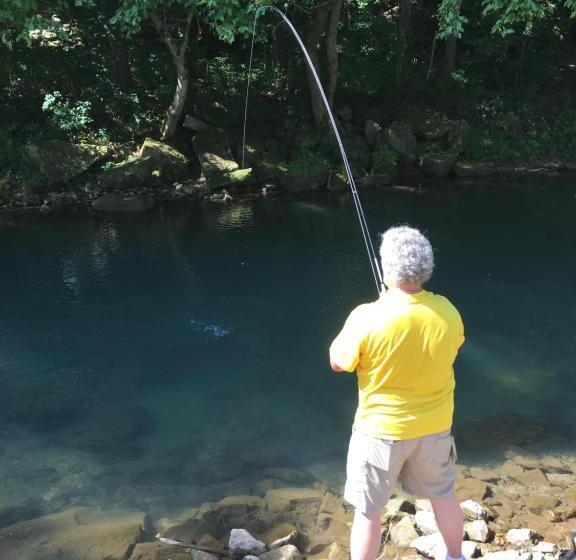 בית מלון כפרי Cassville Four Seasons Inn & Suites