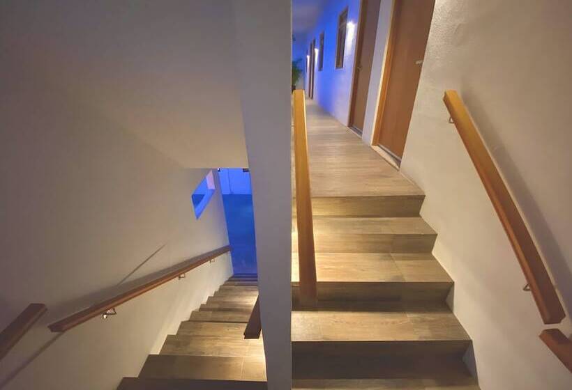 ペンション Casa Palo Verde