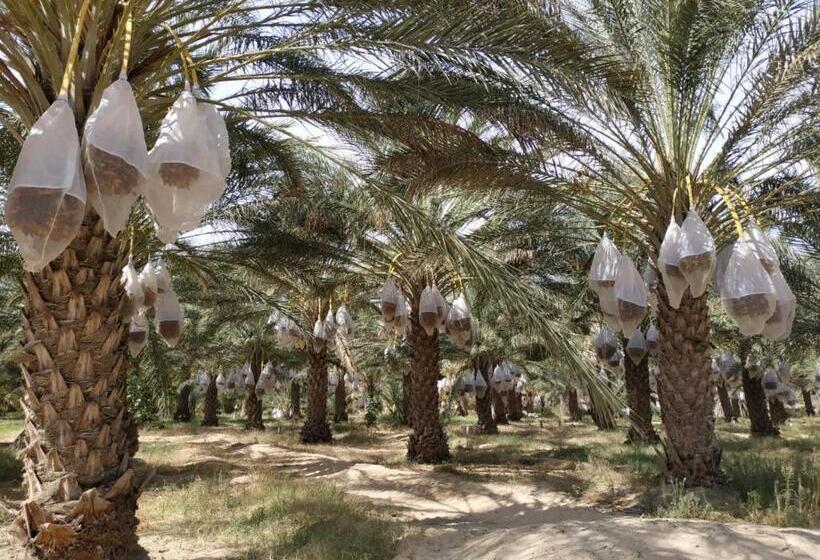 پانسیون Grand Sud, La Maison De Sable