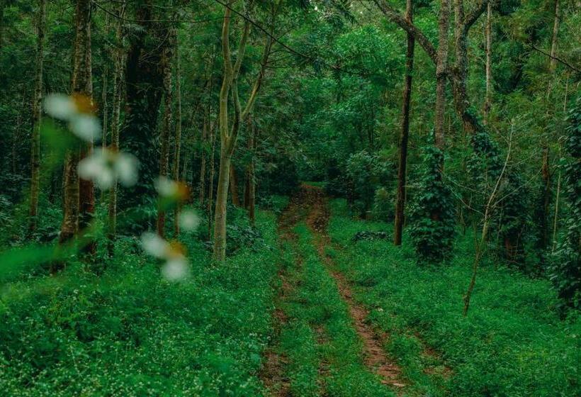 The Blossom Resort, Chikmagalur