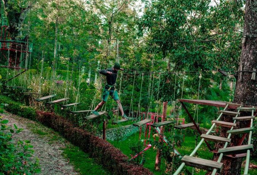 The Blossom Resort, Chikmagalur