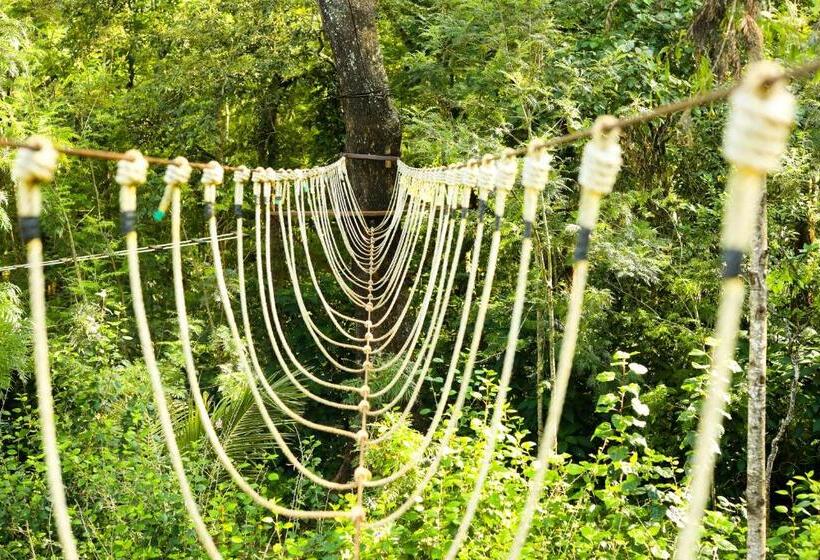 The Blossom Resort, Chikmagalur
