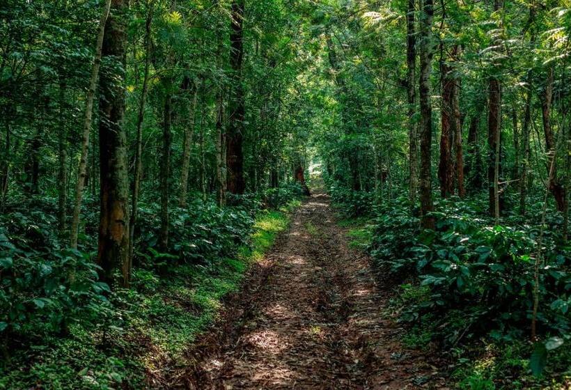 The Blossom Resort, Chikmagalur