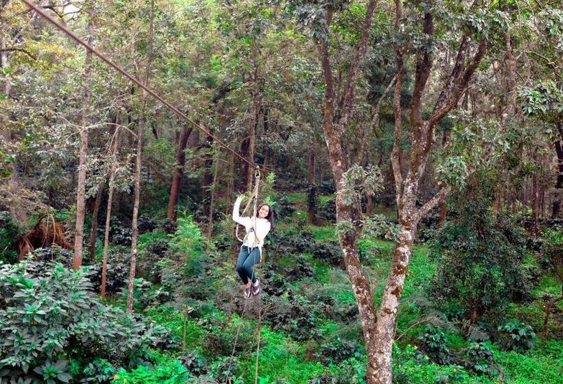 The Blossom Resort, Chikmagalur