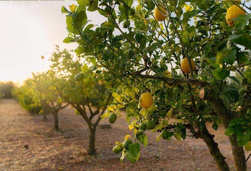 צימר La Farm Baleares