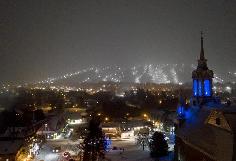 ベッドアンドブレックファースト Au Coeur De Saint Sauveur