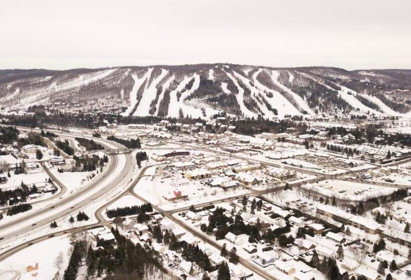 ベッドアンドブレックファースト Au Coeur De Saint Sauveur