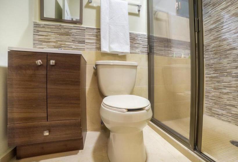 فندق Capital O Descanso Inn