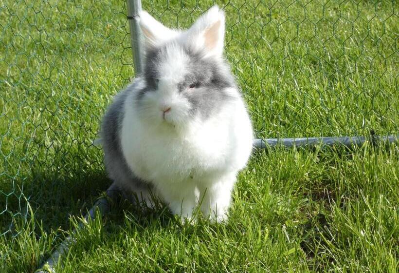 酒店 Hôtel Restaurant Le Clos De L 'ancien Pressoir