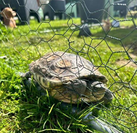 酒店 Hôtel Restaurant Le Clos De L 'ancien Pressoir