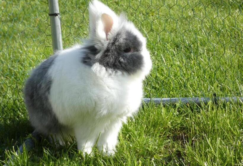 酒店 Hôtel Restaurant Le Clos De L 'ancien Pressoir