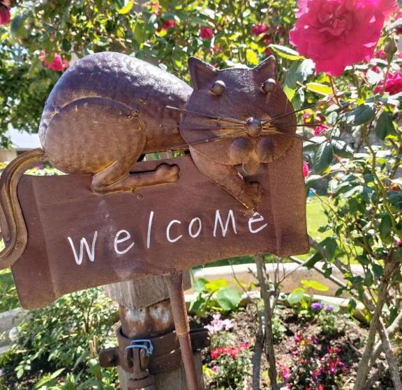 酒店 Hôtel Restaurant Le Clos De L 'ancien Pressoir