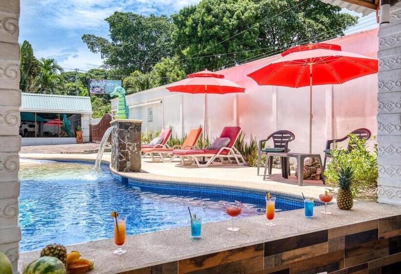 酒店 Ocean View Lodge