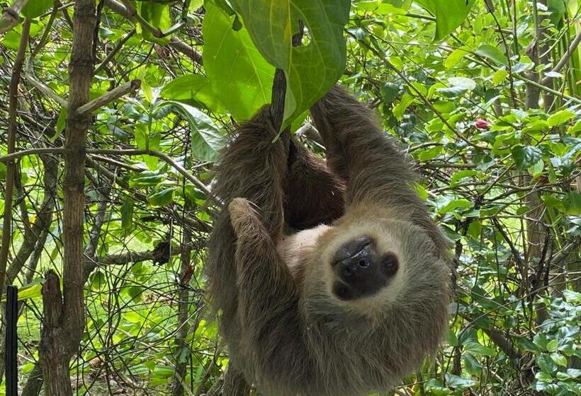 酒店 Ocean View Lodge