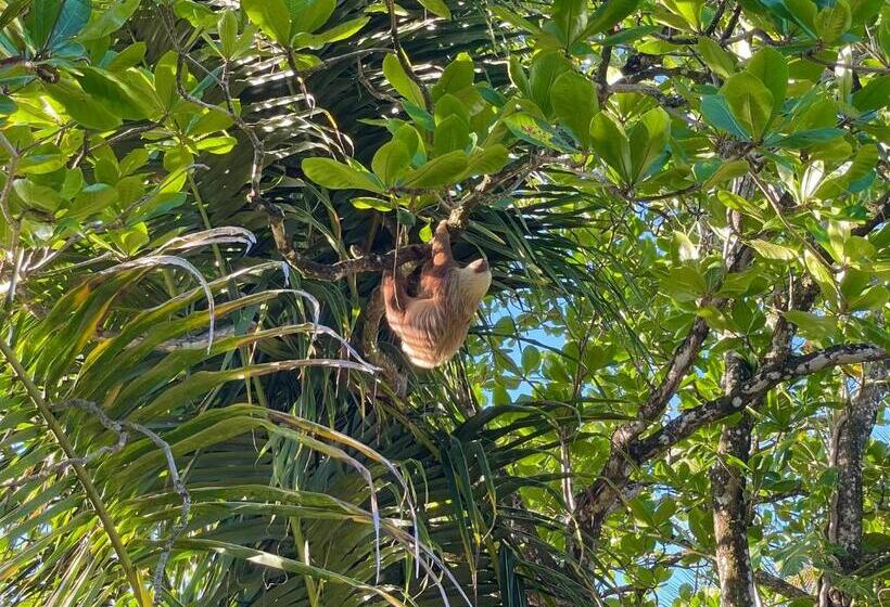 酒店 Ocean View Lodge