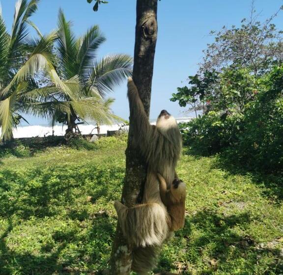 酒店 Ocean View Lodge