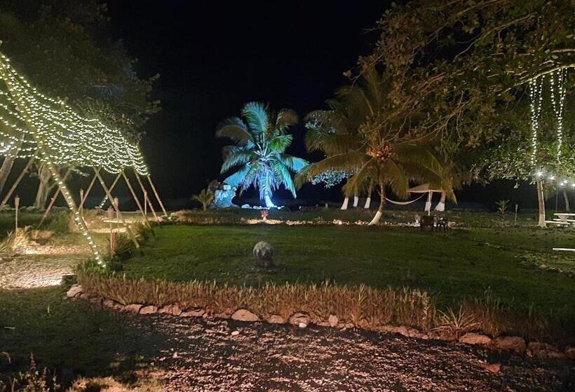 酒店 Ocean View Lodge