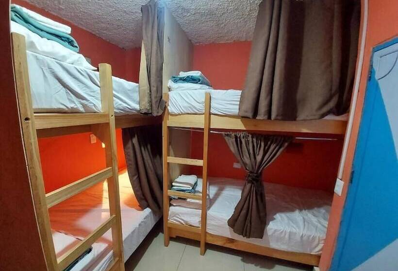 بنسيون Hostal El Alebrije
