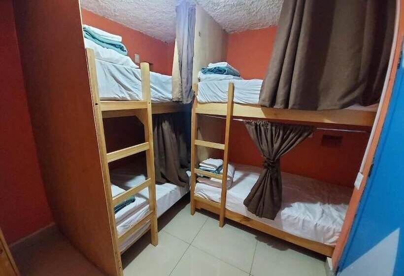 بنسيون Hostal El Alebrije