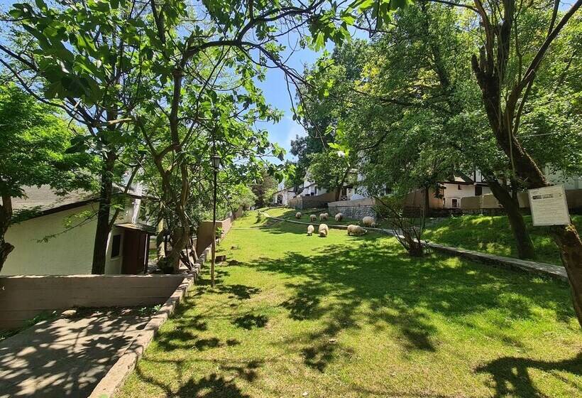 리조트 Polonezköy Country Club & Accommodation In The Wildlife Park!