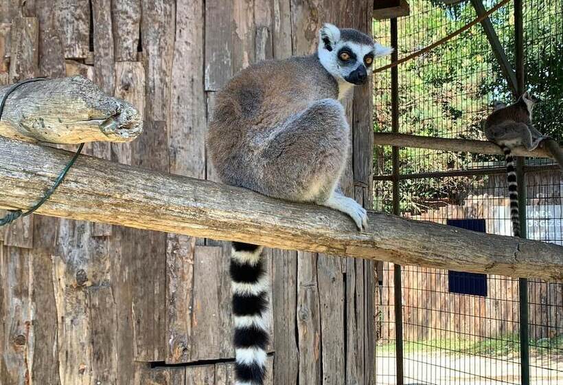 リゾートホテル Polonezköy Country Club & Accommodation In The Wildlife Park!