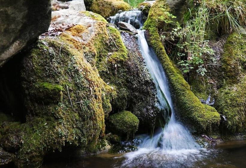 فندق Best Western Plus Sun Canyon