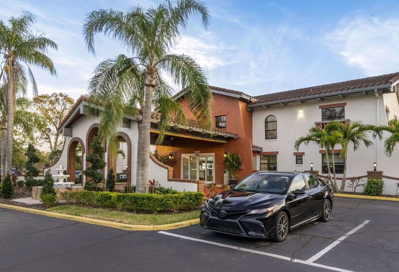 בית מלון כפרי Clarion Pointe Tampa Brandon Near Fairgrounds And Casino