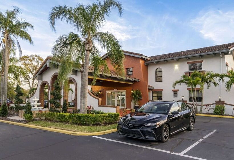 בית מלון כפרי Clarion Pointe Tampa Brandon Near Fairgrounds And Casino