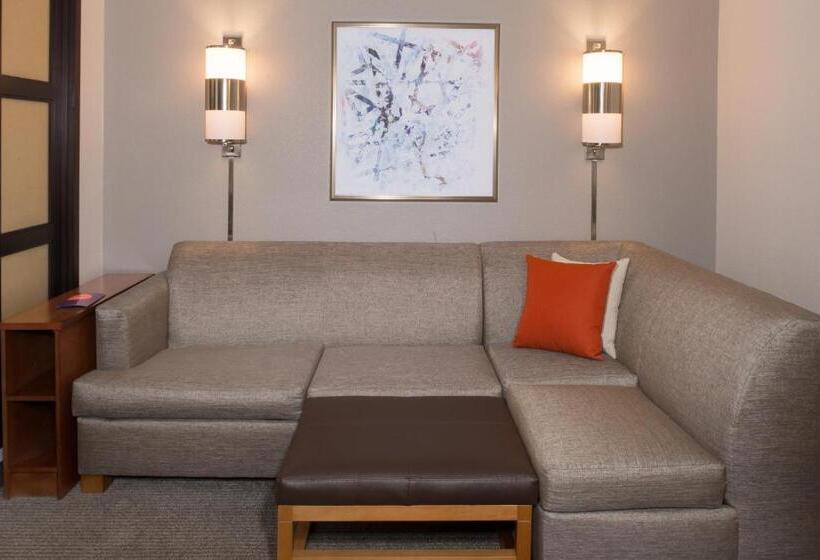 Отель Hyatt Place Dallas/north Arlington/grand Prairie