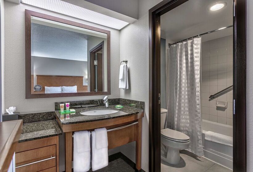 Отель Hyatt Place Kansas City/overland Park/convention Center
