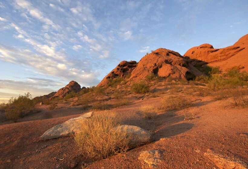 Отель Hyatt Place Tempe Phoenix Airport