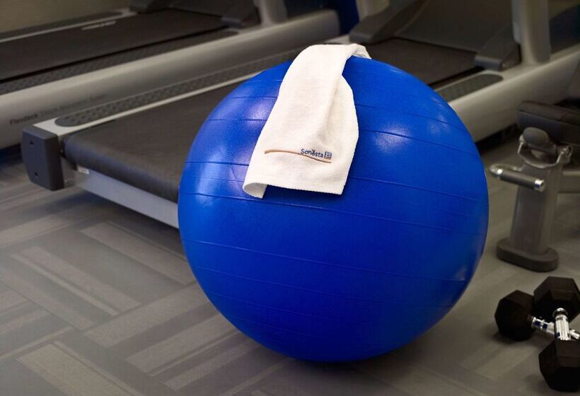 בית מלון כפרי Sonesta Es Suites Chicago Schaumburg