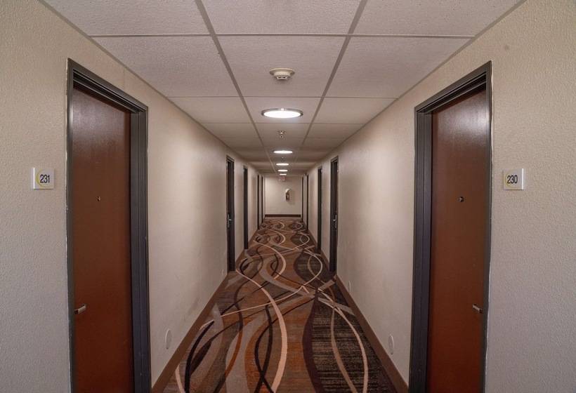 فندق Super 8 By Wyndham Yuma