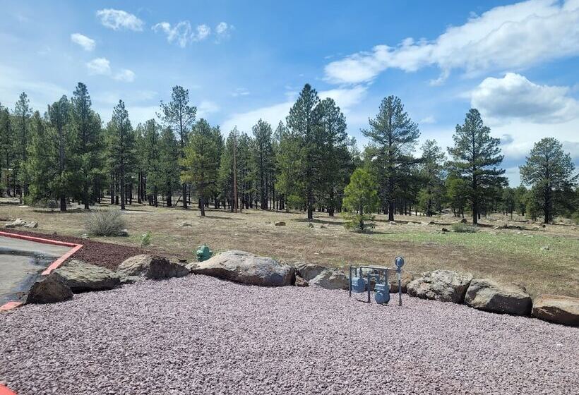 Surestay Hotel By Best Western Williams   Grand Canyon