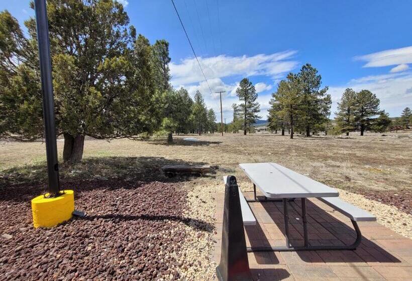 Surestay Hotel By Best Western Williams   Grand Canyon