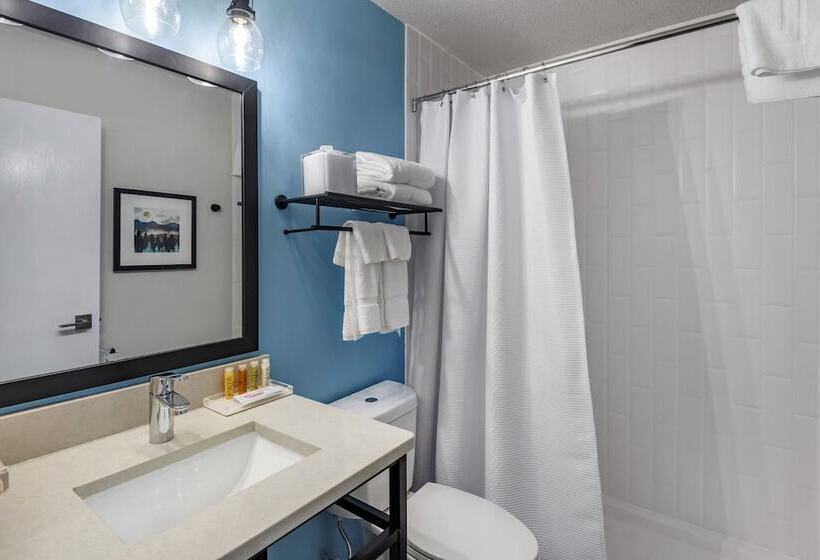 The Freeport Hotel, Ascend Hotel Collection