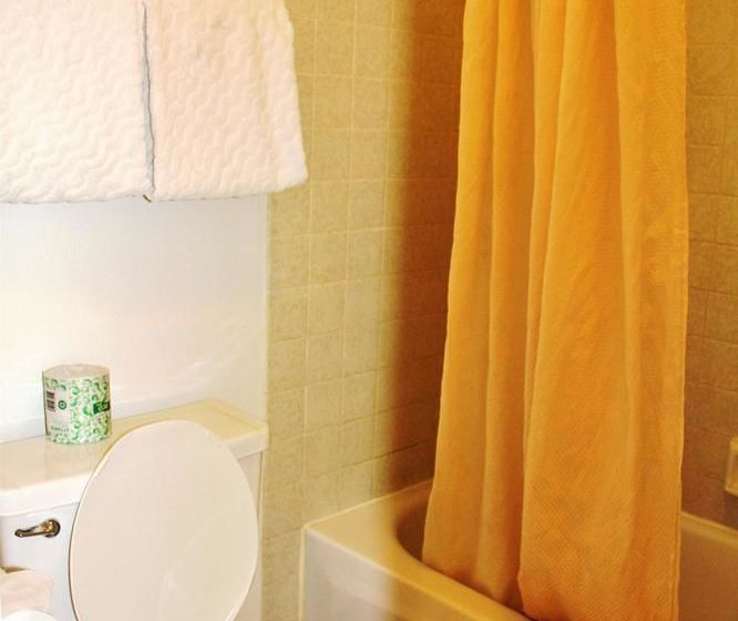 فندق على الطريق Americas Best Value Inn-Needles