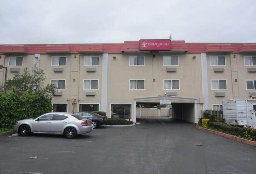 فندق على الطريق Cherry Orchard Inn