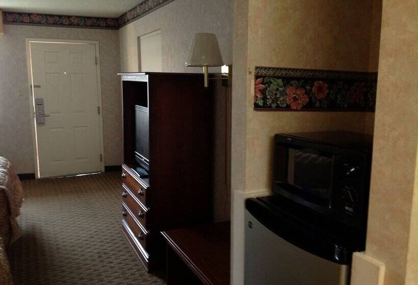 فندق على الطريق Colonial Inn & Suites /airport/graceland