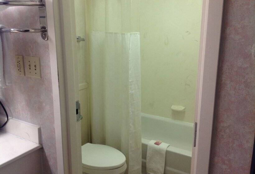 فندق على الطريق Colonial Inn & Suites /airport/graceland