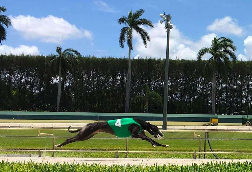 모텔 Magnuson Hotel Jacksonville Downtown