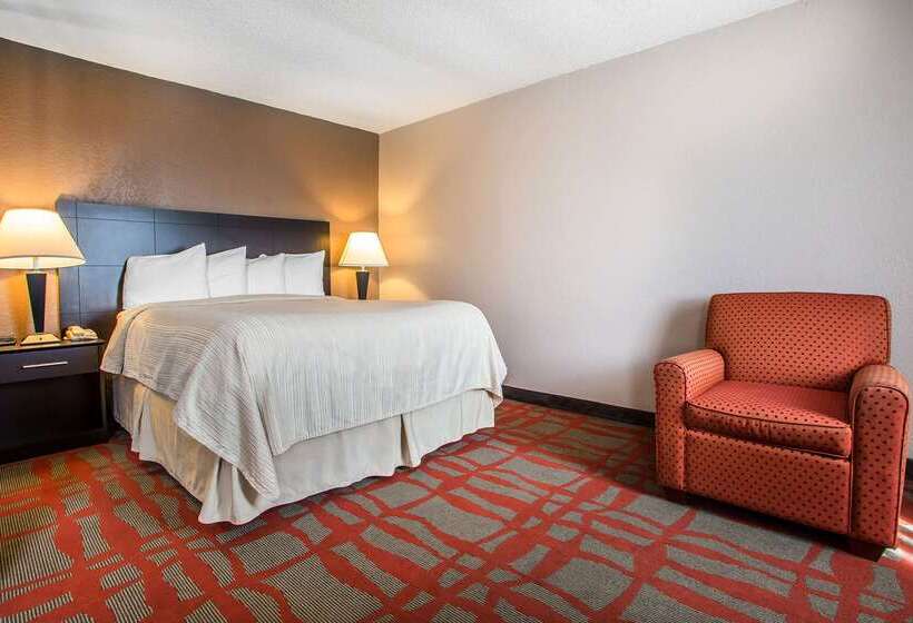 汽车旅馆  Quality Inn & Suites