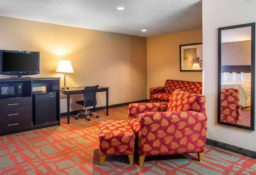 汽车旅馆  Quality Inn & Suites
