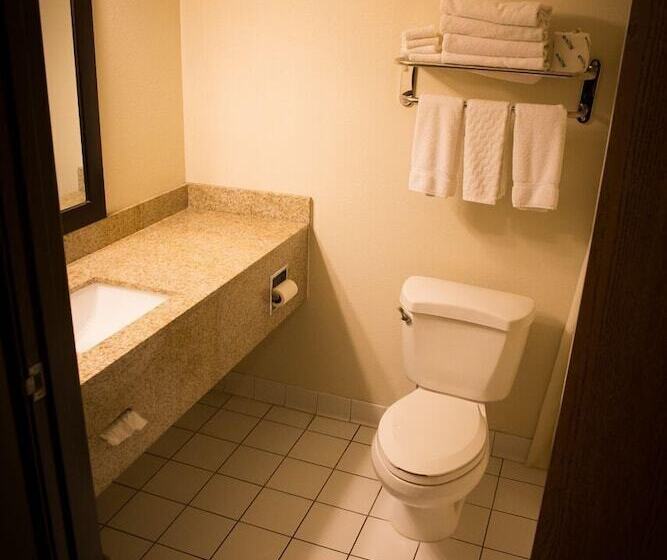 فندق على الطريق Regency Inn & Suites