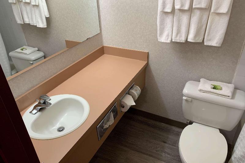 فندق على الطريق Rodeway Inn